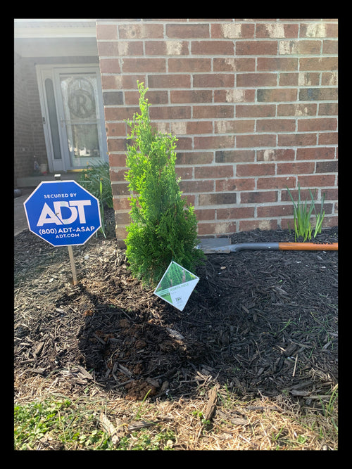 Gardening Solutions