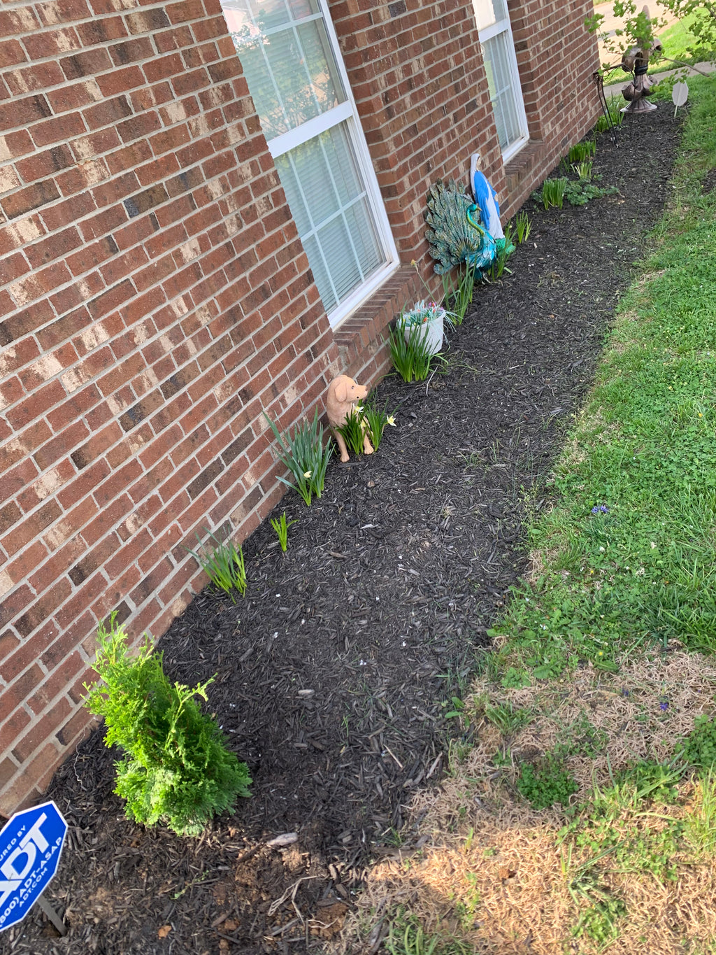 Gardening Solutions